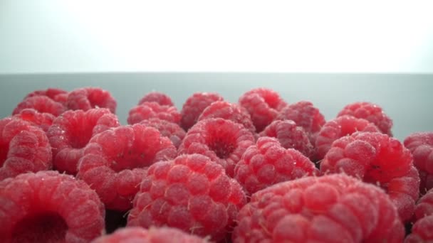 Splashing water, watering ripe, fresh, natural raspberries, in extreme macro, close up. Movement forward, backward. — Stock Video