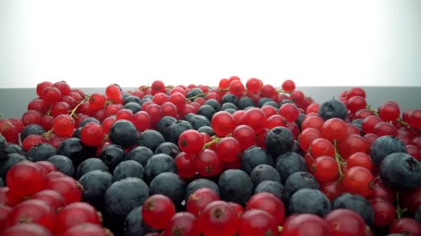 Wilde bessen, rode bessen en zwarte bessen in beweging, in slow motion. Vers fruit als dessert. Extreme macro. — Stockvideo
