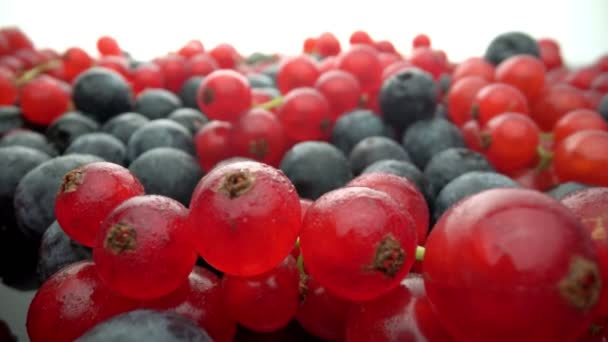 Дикі ягоди, червона смородина і чорна лінь в русі, в повільному русі. Свіжі фрукти на десерт. Екстремальний макрос . — стокове відео