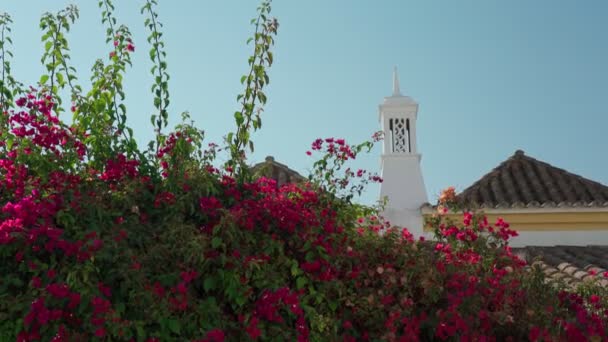Traditionell portugisisk arkitektur, design, gamla hus, tak och skorstenar. Våren blommar lila blommor på väggarna. Södra Portugal. — Stockvideo