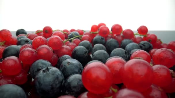 Vilda bär, röda vinbär och svarta lingon i rörelse, i slow motion. Färska frukter till efterrätt. Extremt makroekonomiskt. — Stockvideo