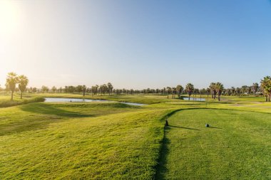 Temiz göletleri ve rahatlama ve golf için palmiye ağaçları olan turistler için modern golf sahaları. Albufeira, Algarve Sunny Günü