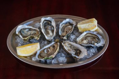 Enfes ve pahalı bir tabak deniz tarağı istiridye istiridye, buz ve limon ile ahşap bir masada demir bir tabak..
