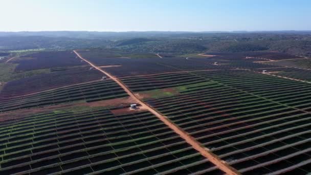 Vue aérienne de champs portugais géants avec batteries solaires photovoltaïques pour créer une électricité écologique propre. Portugal méridional de l'Europe. — Video