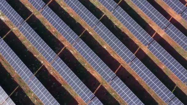Luftaufnahme riesiger Felder mit Solar-Photovoltaik-Batterien, um sauberen ökologischen Strom zu erzeugen. Flache Lageoberfläche. — Stockvideo