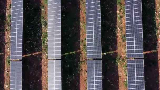 Luchtfoto van reusachtige velden met fotovoltaïsche zonne-energie om schone ecologische elektriciteit op te wekken. Platte lay bovenaanzicht. — Stockvideo