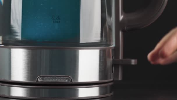 Een persoon drukt op de knop van een glazen ketel om water te koken. Bubbels stijgen in het blauwe licht. lage beweging. — Stockvideo