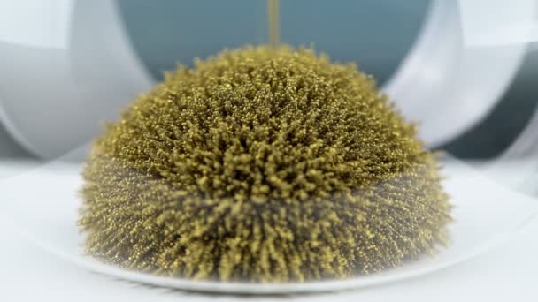 Un reloj de arena hecho de virutas metálicas magnéticas amarillas crea la forma de un erizo que simboliza el concepto de tiempo en movimiento. — Vídeo de stock