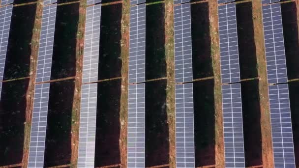 Vista aérea de campos gigantes con baterías solares fotovoltaicas para crear electricidad ecológica limpia. Vista superior plana. — Vídeo de stock