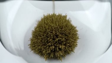 Metal manyetik sarı talaşlardan yapılmış kum saati hareket halindeki zaman kavramını sembolize eden kirpi şeklini yaratır..