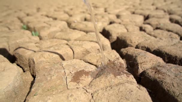 純粋な新鮮な水は砂漠の砂の土壌に流れます。現在と未来の生態学的大災害の概念. — ストック動画