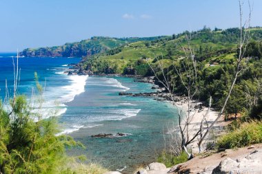 Hawaii adalarından biri olan Maui 'de kayalık bir sahil şeridi manzarası var.