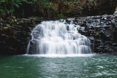 Maui, Hawaii, ABD 'deki Hana gezisinde şelale noktası.