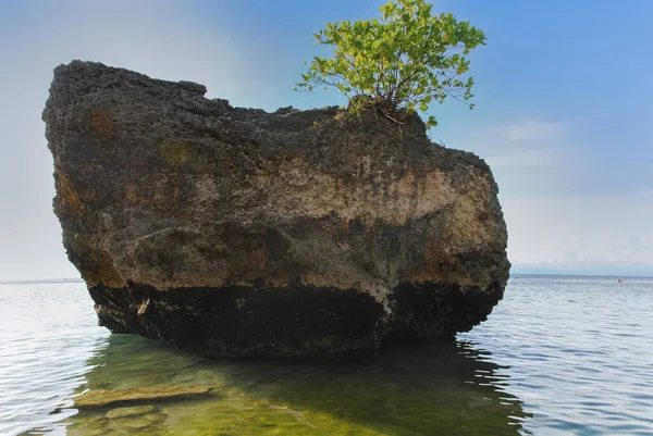 Ein Großer Felsen Ufer Einem Sonnigen Tag Padang Padang Beach — Stockfoto