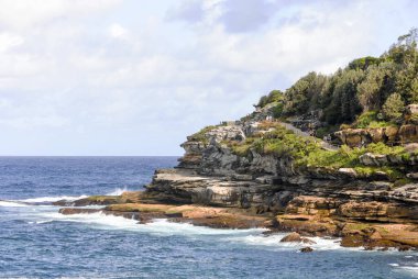 Sidney, Avustralya 'da kayalık bir kıyı şeridi manzarası