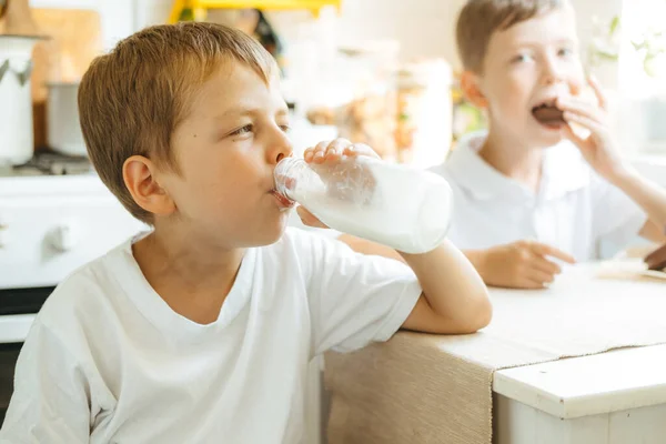 부엌에 병에서 우유를 마시고 있습니다 우유로 아침을 때우고 티셔츠를 아이가 스톡 사진