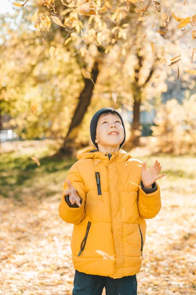 Sarı Ceketli Çocuk Sonbahar Parkında Yapraklarını Saçıyor Çocuk Sonbahar Yapraklarında Stok Resim