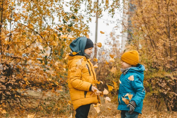 Хлопчики Куртці Розсіюють Листя Осінньому Парку Дитина Радіє Осіннім Листям — стокове фото