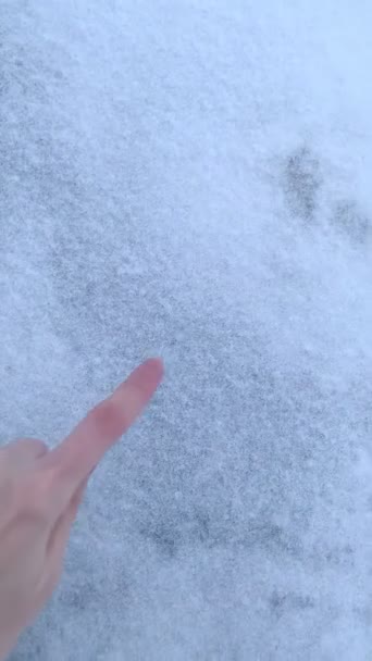 Mano Muchacha Atrae Corazón Sobre Nieve Blanca Invierno Vídeo Vertical — Vídeos de Stock