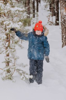 A boy walks in the snow in the winter forest. A child throws snow over his head. Happy winter holidays with snow