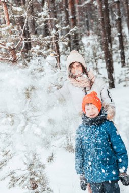 mom and son play snowballs in the winter forest. Mom walks with her son in a snowfall in the forest. Happy winter holidays with snow. Winter walks in the forest.
