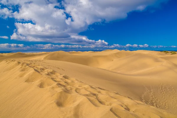 Maspalomas dunes — Stock Photo, Image