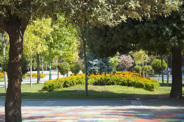 Groene stadspark — Stockfoto