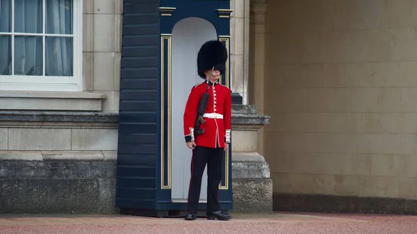 English Royal Guard of honor soldier of British army standing with gun in London