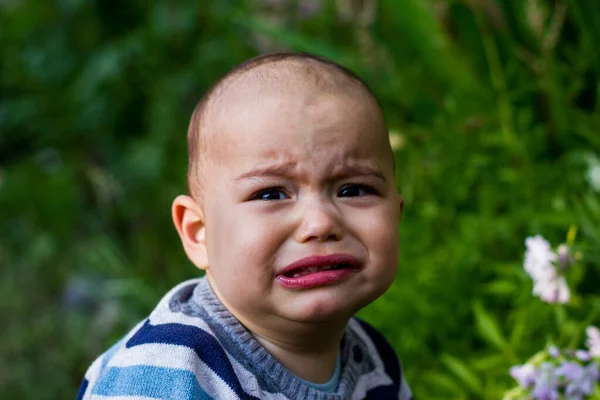 Χαριτωμένο Αγοράκι Έξω Κλάμα Δυστυχισμένο Μωρό Στο Καταπράσινο Κήπο — Φωτογραφία Αρχείου