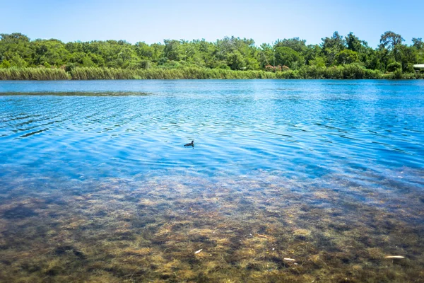 Lake Titreyen Gol Antalya Summer Landscape Blue Water Green Trees — Stock Photo, Image