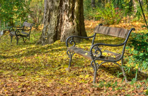 Bank in herfst bos — Stockfoto