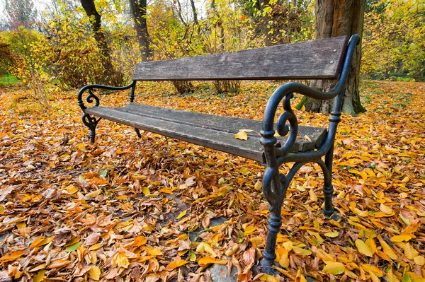 Bank in herfst bos — Stockfoto