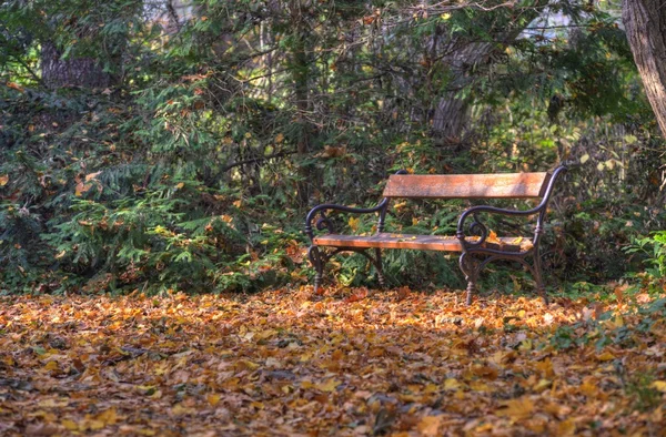 Bank in herfst bos — Stockfoto