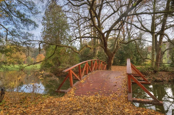 Potok a dřevěný most v podzimním lese — Stock fotografie
