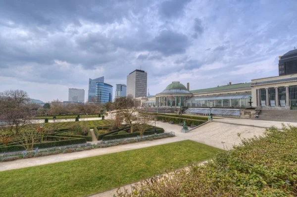 Orto botanico di Brussel — Foto Stock