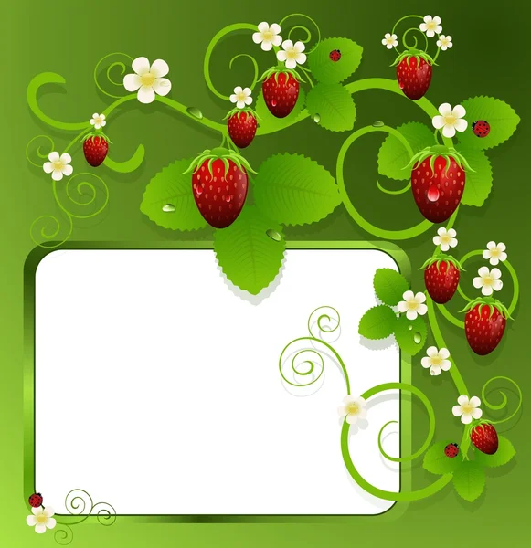 Kadeře s jahodami a květiny — Stockový vektor