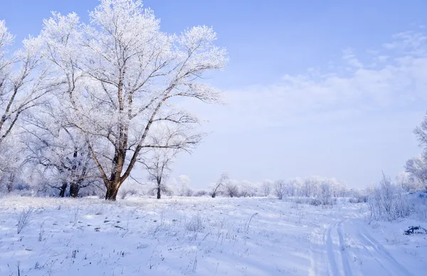 Paisaje invierno —  Fotos de Stock