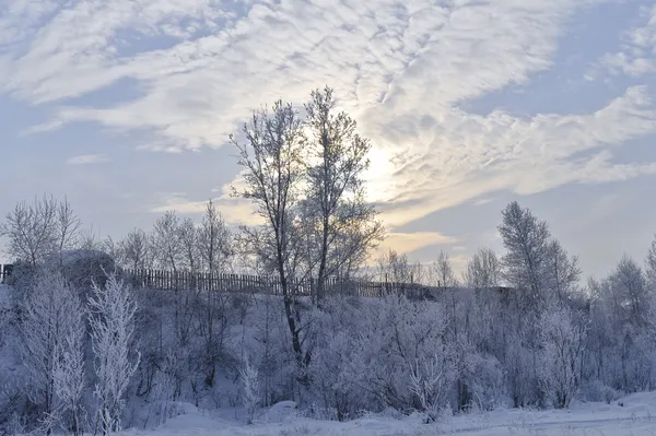 Fotos de Kiruna in winter, Imagens de Kiruna in winter sem