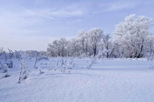 Wintermärchen — Stockfoto