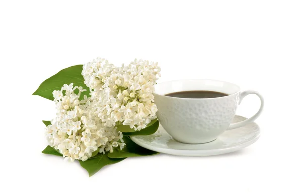 Caneca de café e flores brancas — Fotografia de Stock