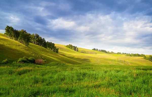 Paesaggio estivo — Foto Stock