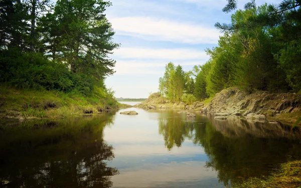 Foresta delle fate — Foto Stock