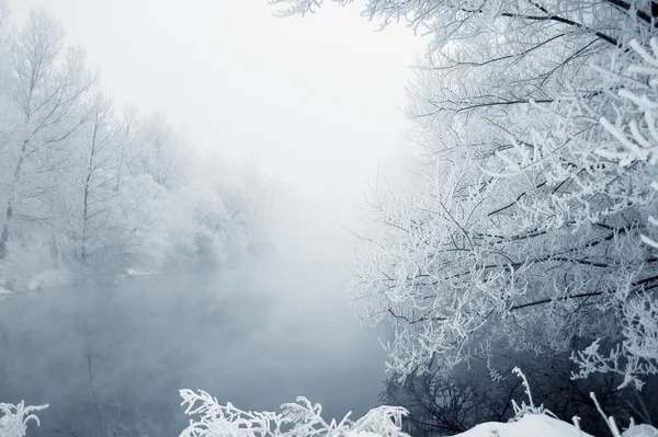 冬季景观 — 图库照片#