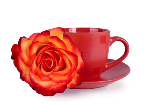 Still life with a mug and a beautiful rose — Stock Photo, Image