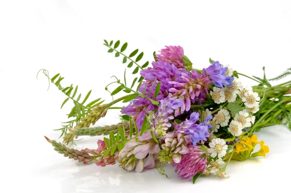 Bouquet of wildflowers — Stock Photo, Image