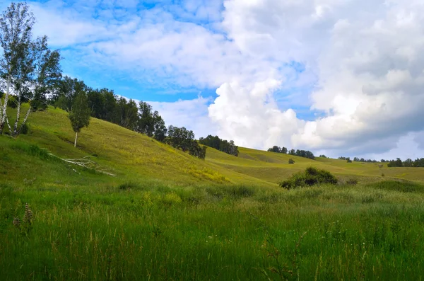 Grüne Hügel und Felder — Stockfoto
