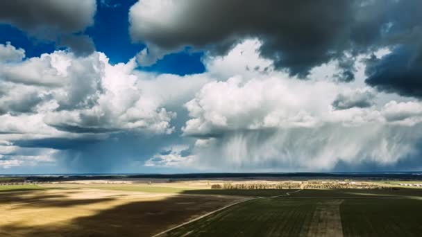 Countryside Rural Field Landscape With Young Wheat Sprouts In Spring Summer Cloudy Day. Agricultural Field. Young Wheat Shoots. Aerial View. Drone Lapse Hyperlapse — Stock Video