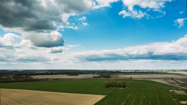 Сільська місцевість Сільський ландшафт з молодими проростками пшениці Навесні літа Хмарний день. Сільськогосподарське поле. Молоді пагони пшениці. Вид з повітря. Безпілотник Lapse Hyperlapse — стокове відео