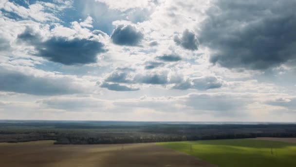 Platteland Platteland Landschap met jonge tarwespruiten In het voorjaar zomer bewolkte dag. Landbouwgebied. Jonge Tarwe Scheuten. Luchtfoto 's. Drone Lapse Hyperlapse — Stockvideo