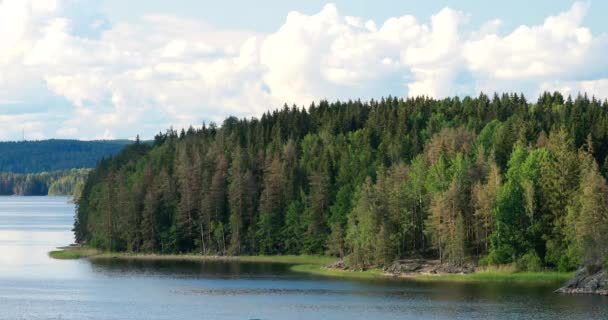 Natura svedese. Estate lago o fiume in bella estate Sunny Day. Ombre di nuvole che si muovono sopra gli alberi di pino — Video Stock